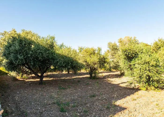 Melber Apartamento *